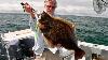 Doormat Fluke Flounder Gulp Vs Bait Strips With Boat Limit