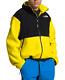 Men's The North Face 1995 Retro Denali Recycled Fleece Jacket New $199